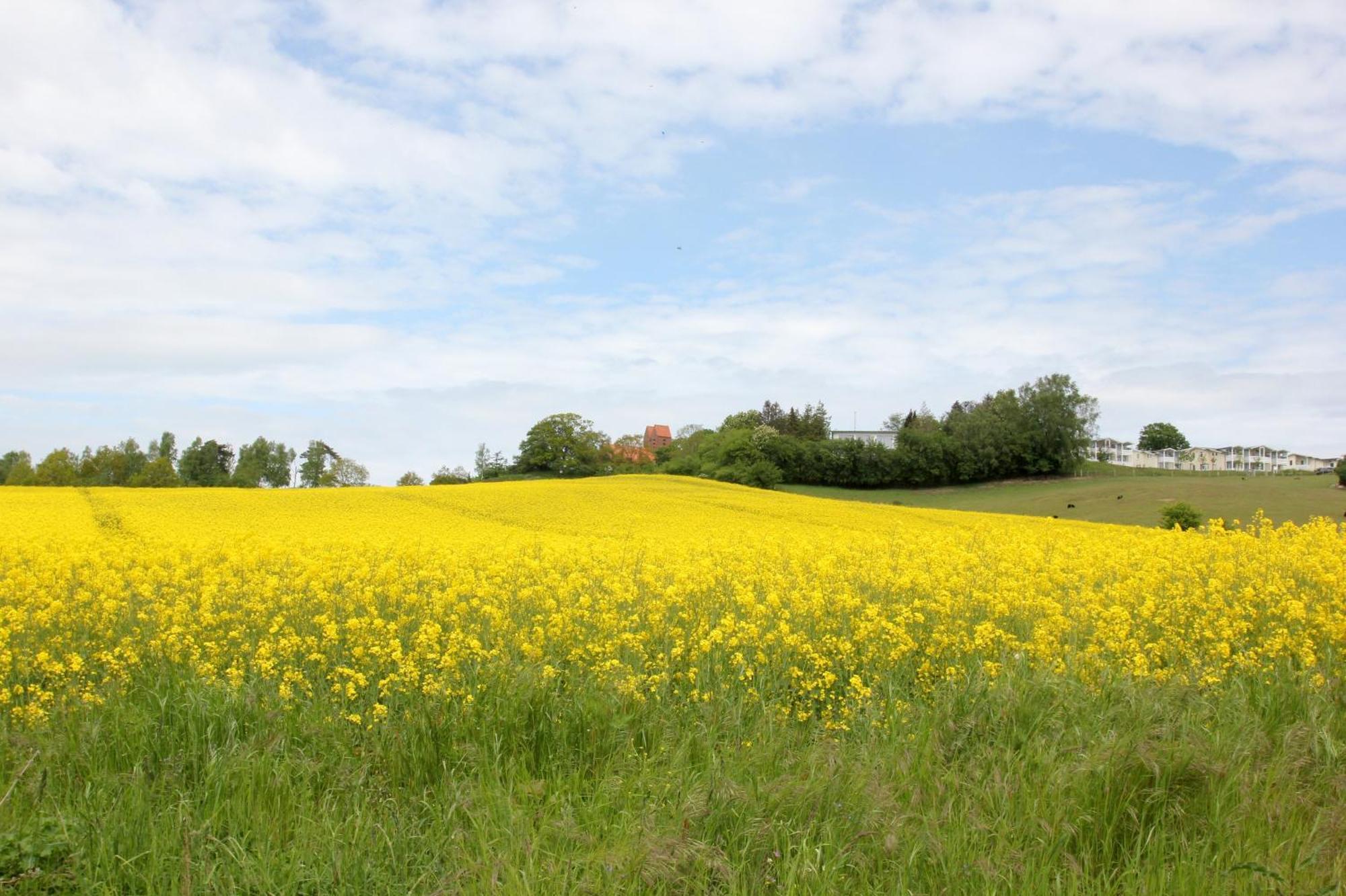 Mit Meerblick Und Balkon, Gratis Nutzung Vom Ahoi Erlebnisbad Und Sauna In Sellin - Meeresblick Fewo 14 เกอเรน ภายนอก รูปภาพ